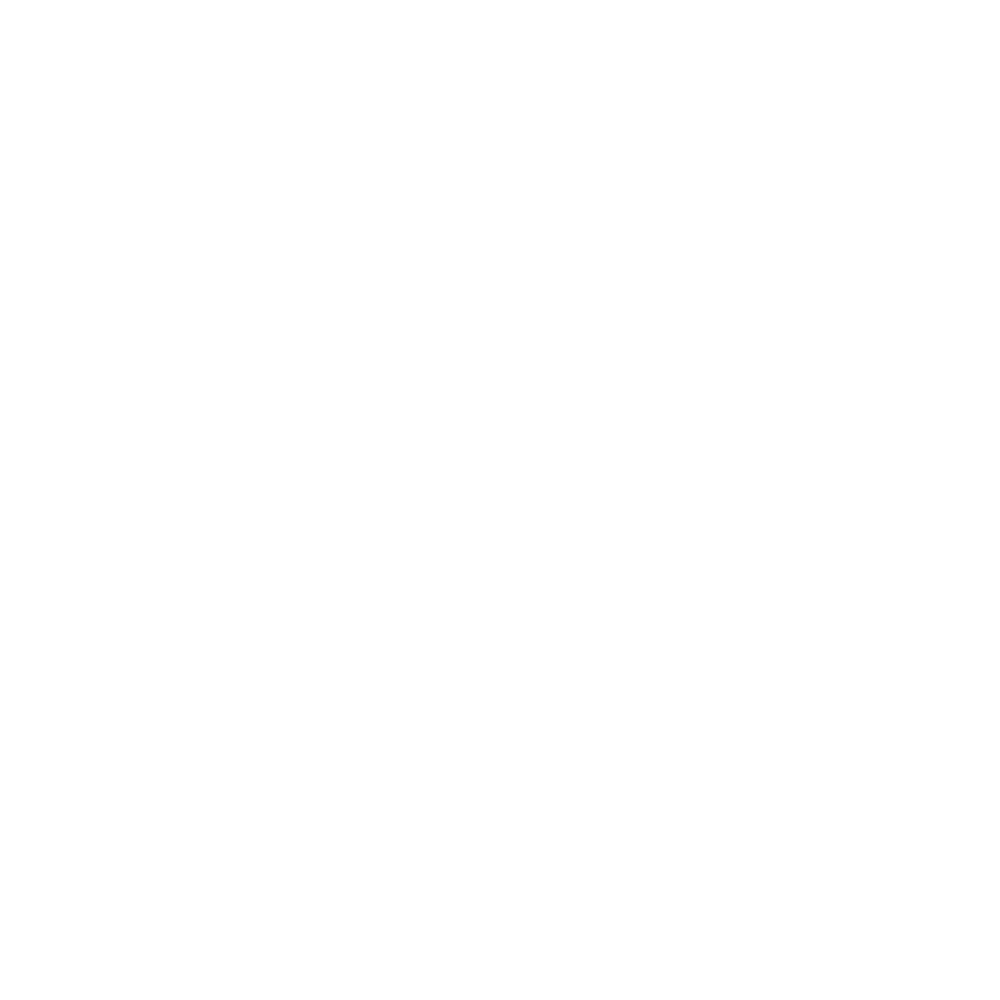 Prager Audio Laboratory logo